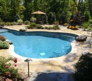 Pool-outdoor-water-backyard-landscaping-landscape-spa