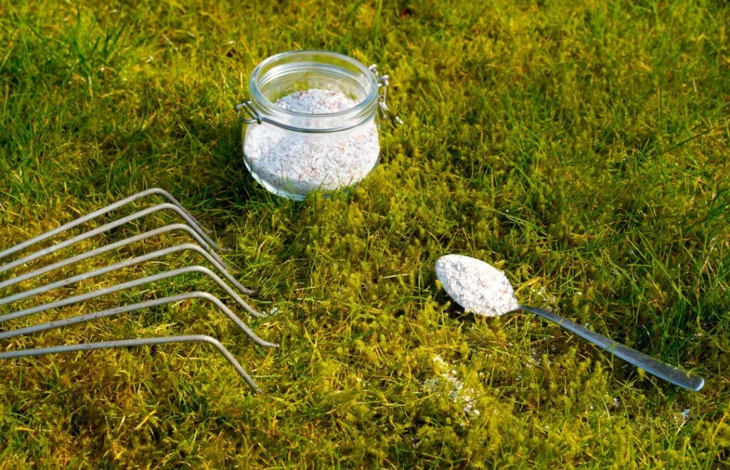 The-Benefits-of-Liming-Your-Lawn-1024x660