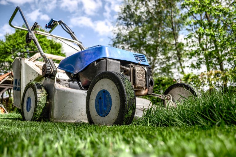 Garden Gardening Grass