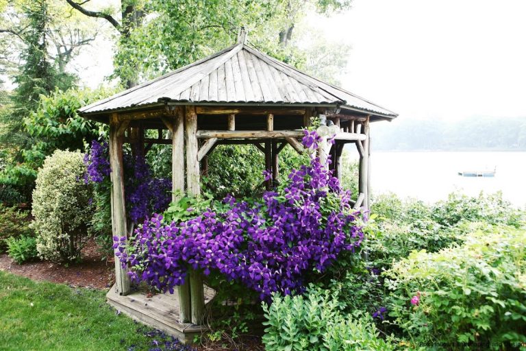 Wraparound Country Porch