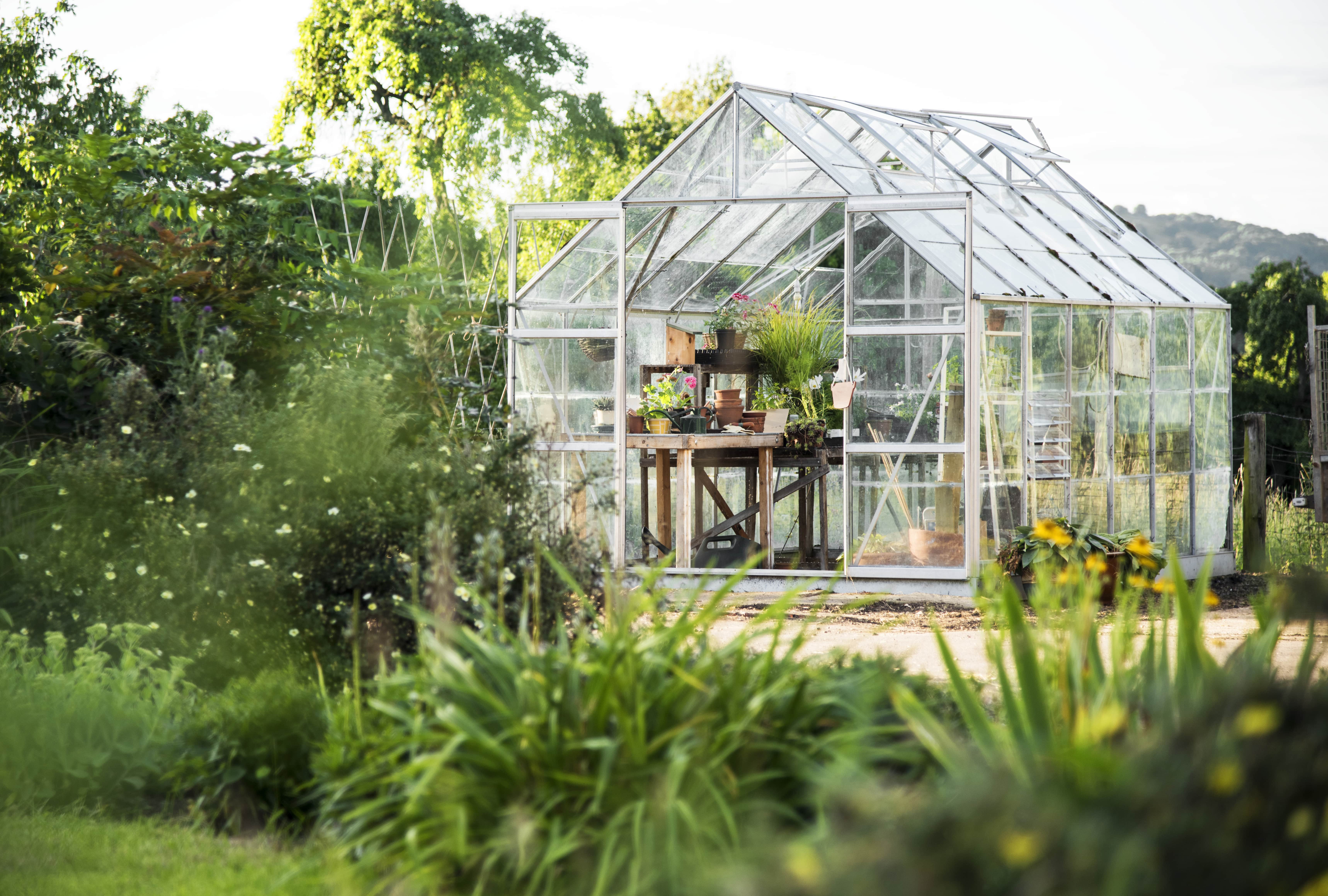 How to Design a Greenhouse for Your Winter Garden – And Why You Should