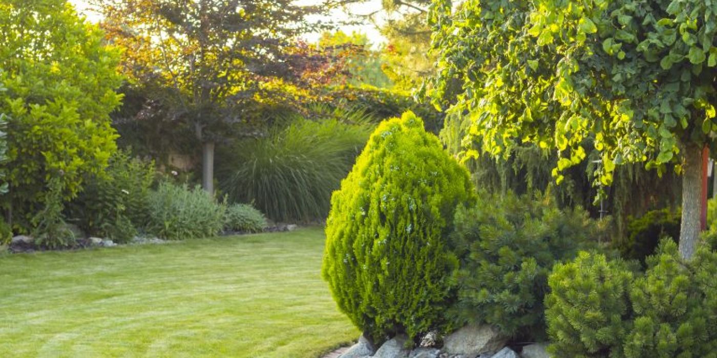 AdobeStock_277206168-768x512